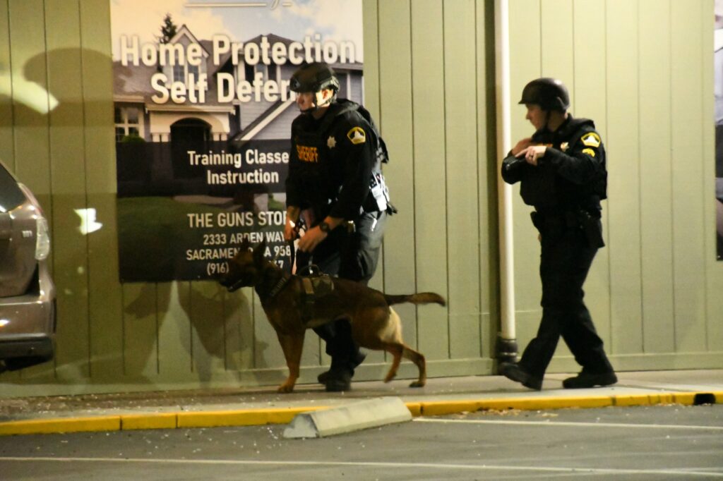 SHERIFF: Suspects crash car into gun shop, take weapons, Sacramento